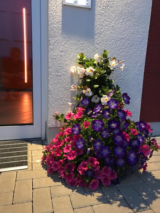Apartment Am Feldrain - Gornau Im Erzgebirge Zschopau